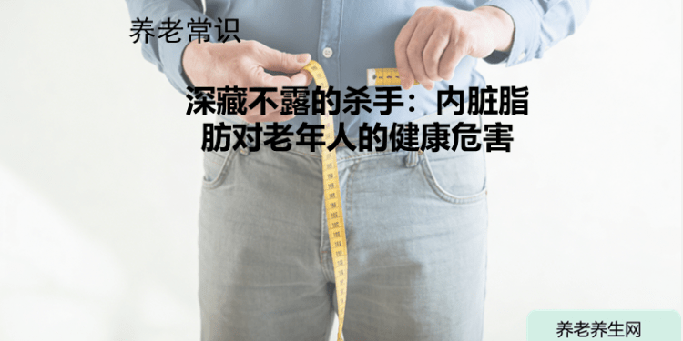 深藏不露的杀手：内脏脂肪对老年人的健康危害