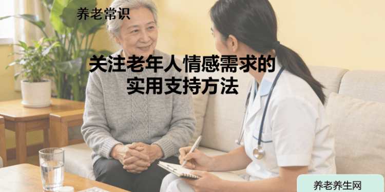 关注老年人情感需求的实用支持方法