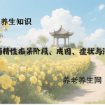 酒精性痴呆阶段、成因、症状与治疗