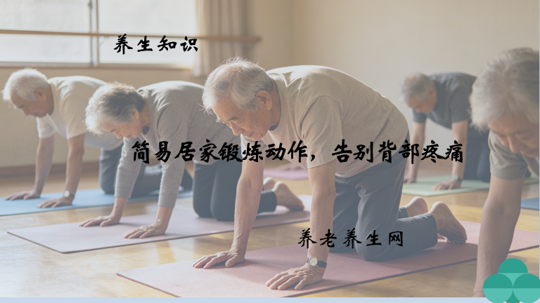简易居家锻炼动作，告别背部疼痛