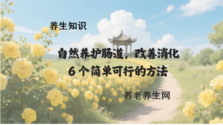 自然养护肠道，改善消化：6 个简单可行的方法