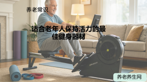 适合老年人保持活力的最佳健身器材