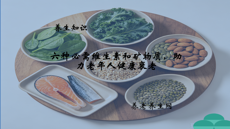 六种必需维生素和矿物质，助力老年人健康衰老