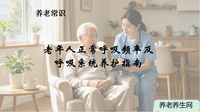 老年人正常呼吸频率及呼吸系统养护指南